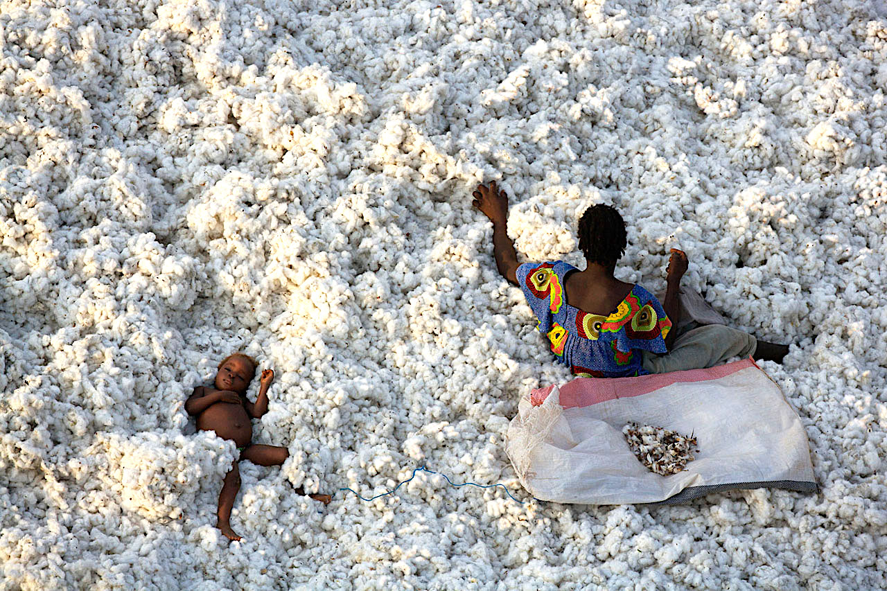 Burkina Faso, Bangladesh, Cotton Production, Cotton Industry, African Cotton Industry, Africa Cotton, KOLUMN Magazine, KOLUMN