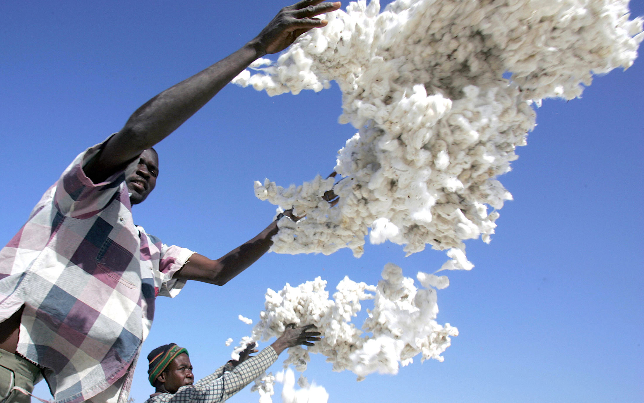 Burkina Faso, Bangladesh, Cotton Production, Cotton Industry, African Cotton Industry, Africa Cotton, KOLUMN Magazine, KOLUMN