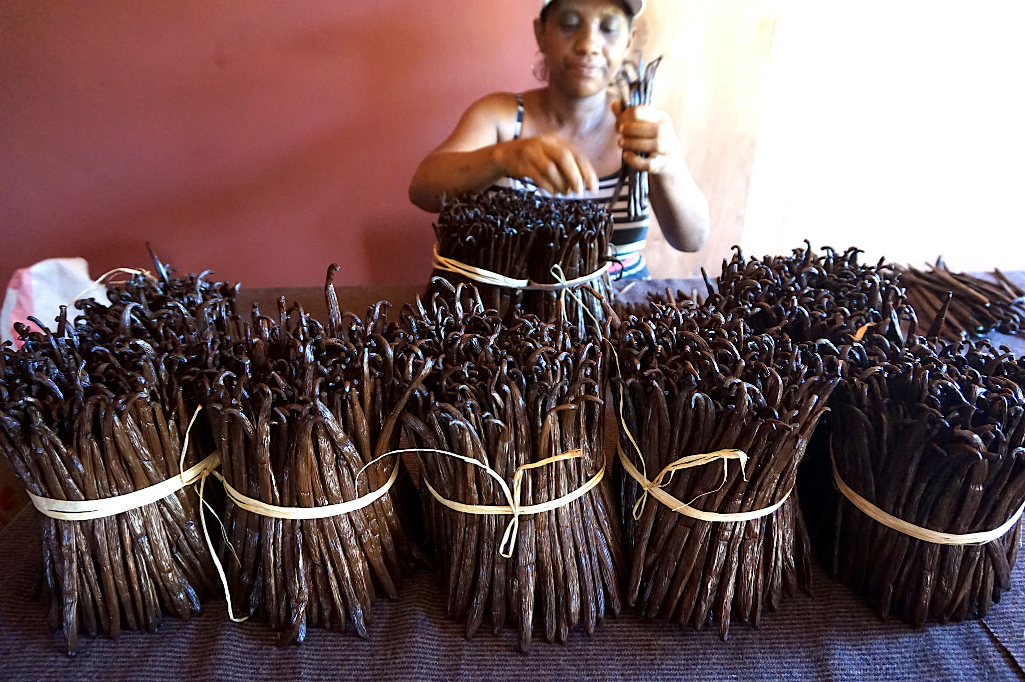 Vanilla Industry, Vanilla Madagascar, KOLUMN Magazine, KOLUMN