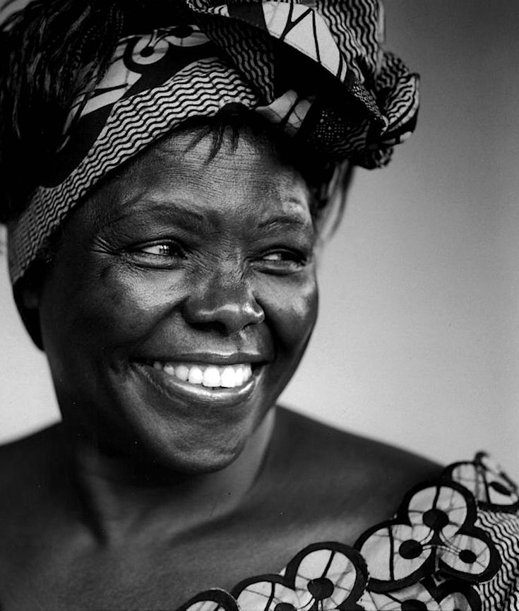 Wangari Maathai, African Women, African Politics, African Literature, Woman of Africa, KOLUMN Magazine, KOLUMN