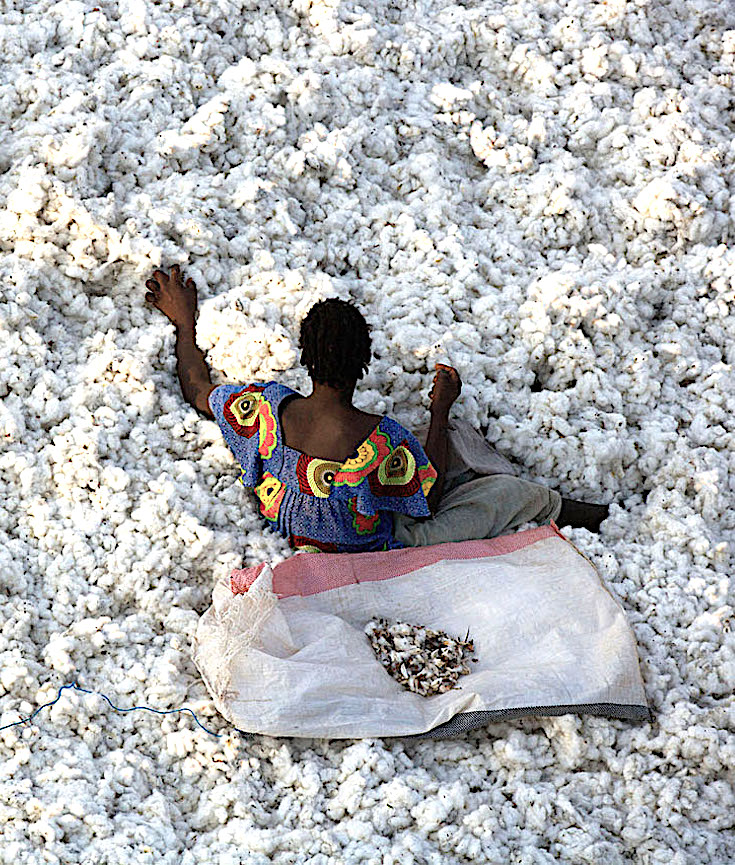 These Photos Show the People Who Turn a Cotton Plant Into Your Jeans – The Nation