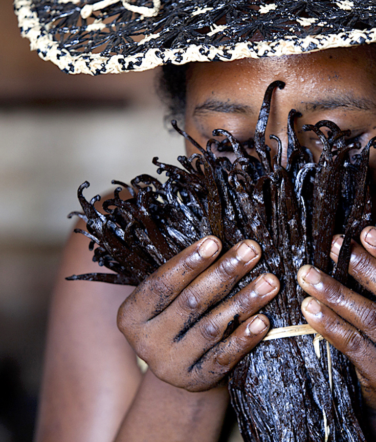 The bitter taste of Madagascar vanilla – Al Jazeera