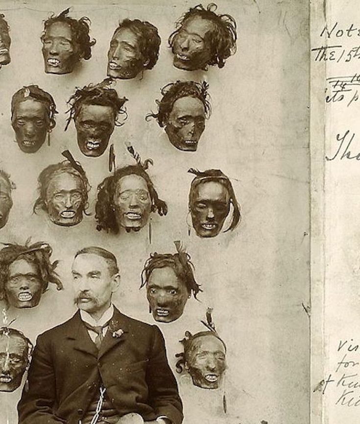 The Disturbing Story Of The Mokomokai Heads Of The Maori Tribesmen  | ATI