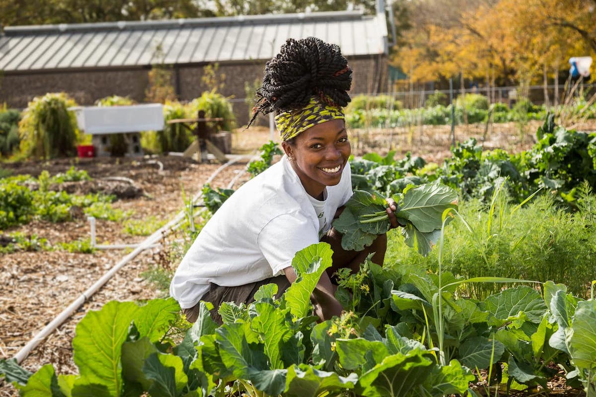 The Ultimate List of Black Owned Farms & Food Gardens | Shoppe Black