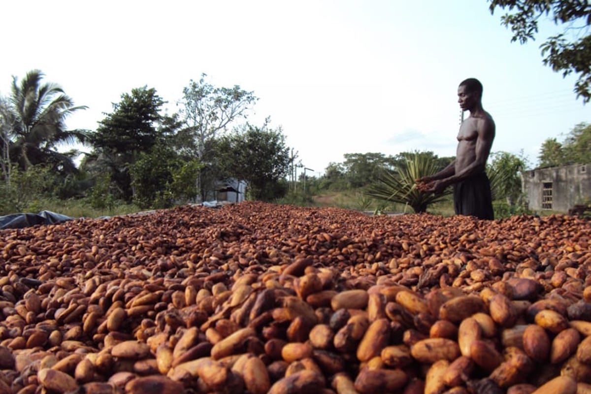 Africa Produces 75% of Cocoa But Gets 2% of $100b Chocolate Market Revenue | Ghana Business News