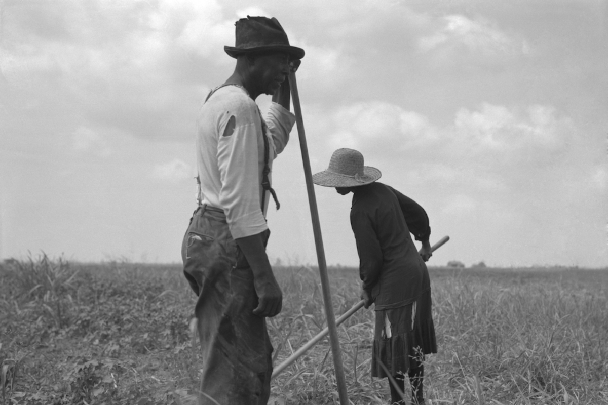 How Did African-American Farmers Lose 90 percent of Their Land? | Modern Farmer