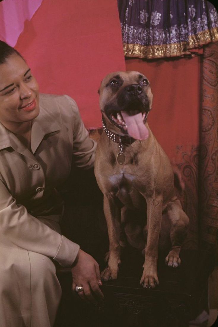 Lovely Pics of Billie Holiday With Her Dog Mister in 1949 | Vintage Everyday