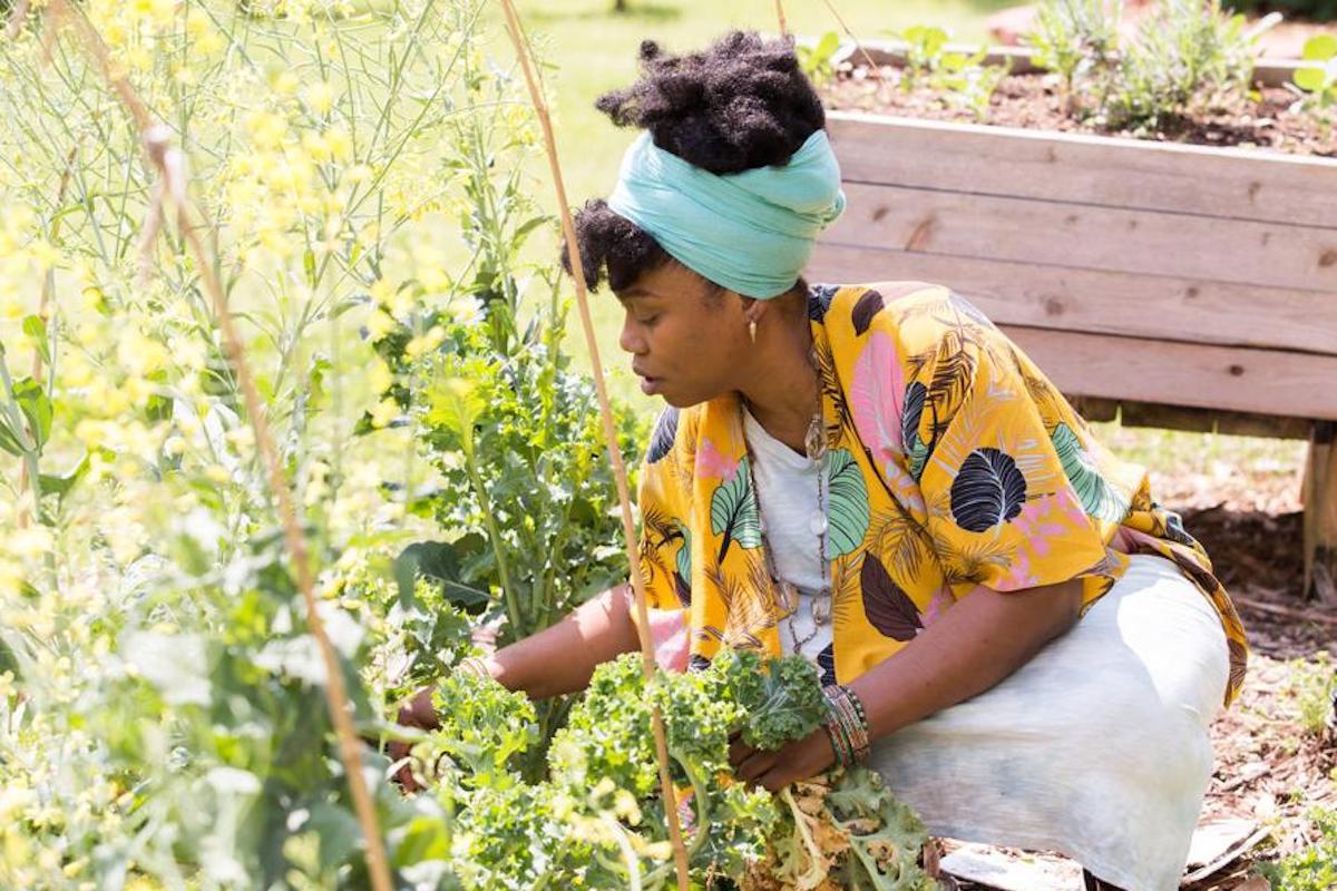 Amid pandemic, interest in gardening surges across metro Atlanta | AJC