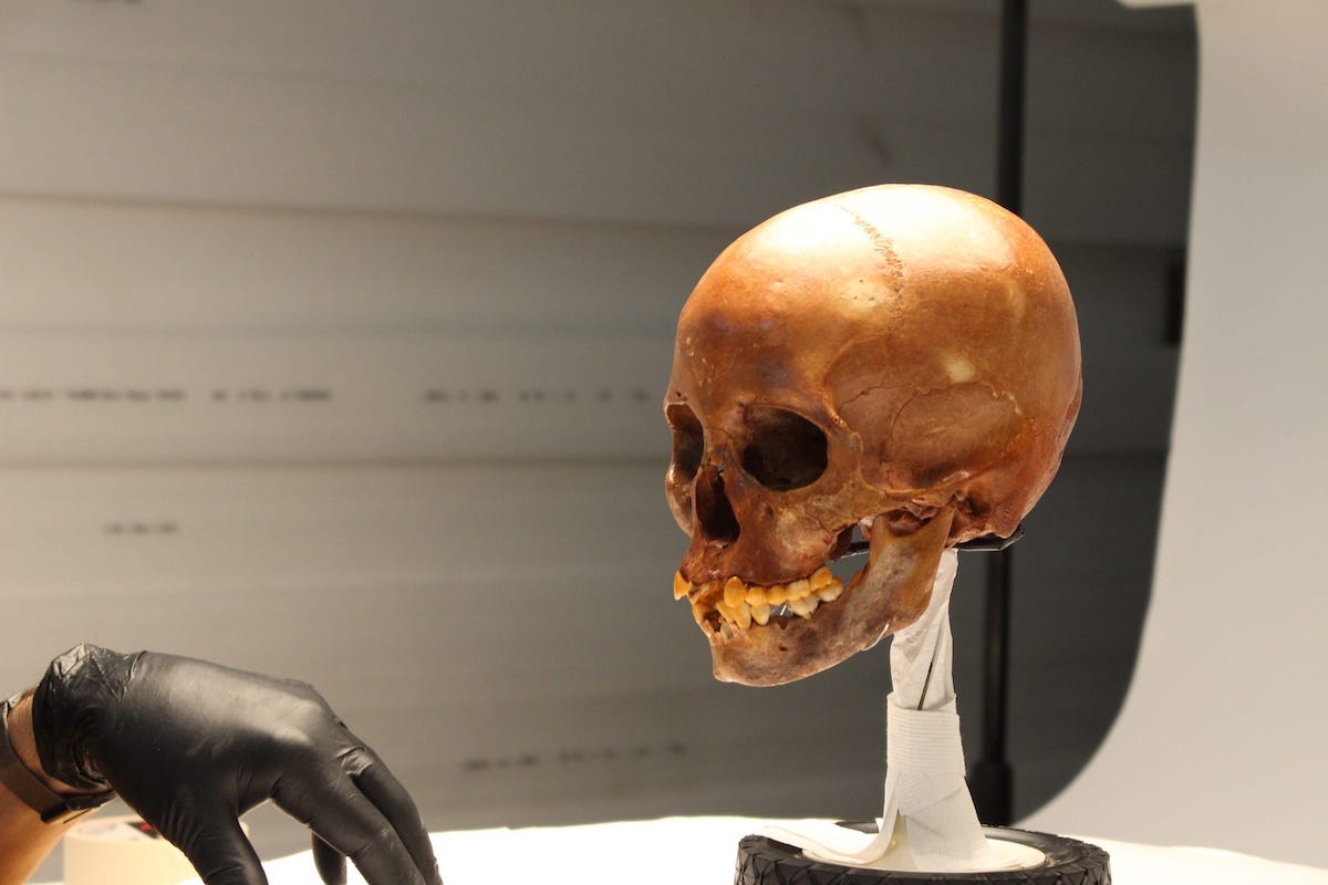 Three African Skeletons Found in Mexico Show Horrors of Early Slavery in the New World | Gizmodo