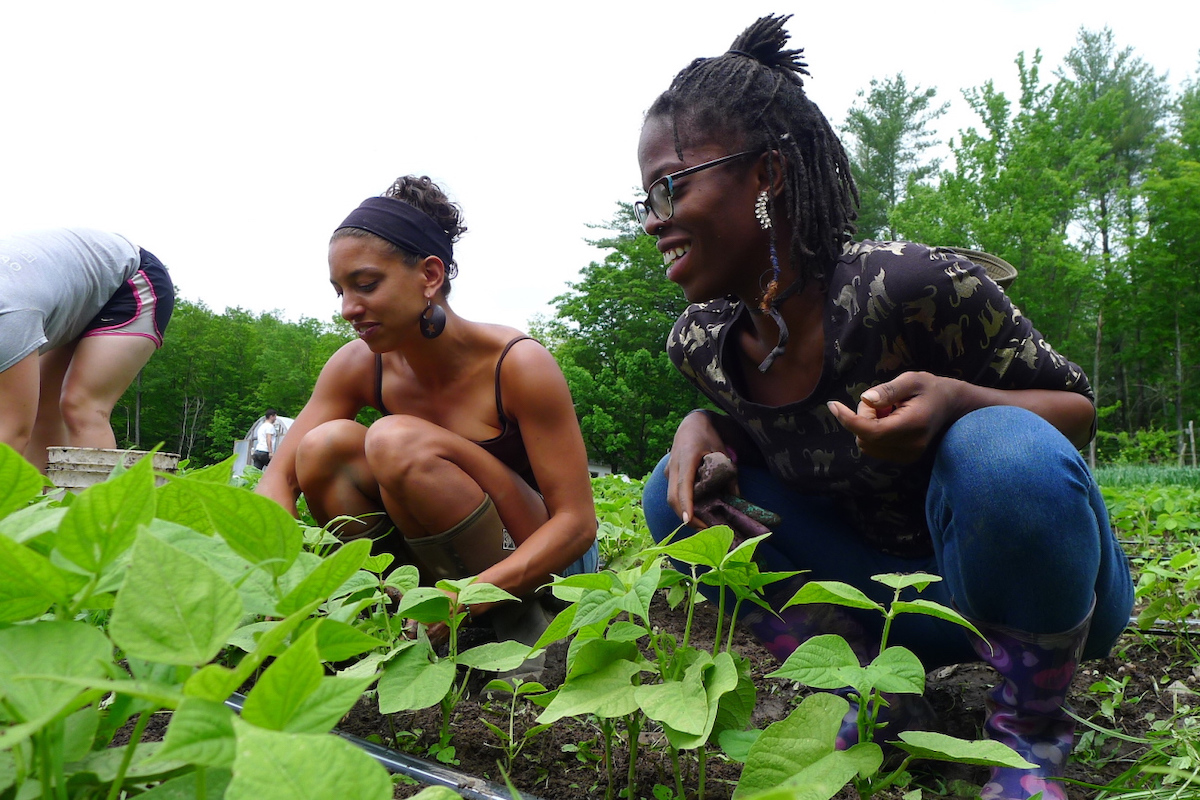 White People Own 98 Percent of Rural Land. Young Black Farmers Want to Reclaim Their Share. | Mother Jones