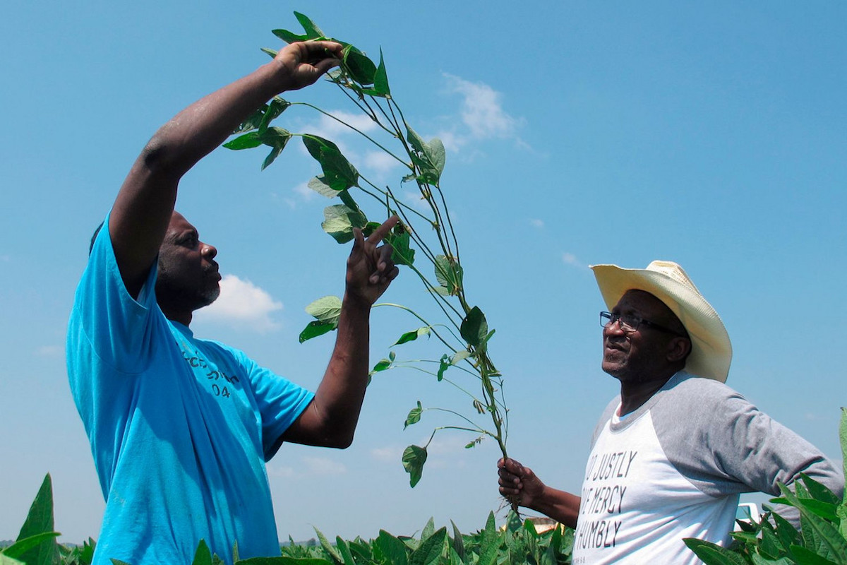 National Black Growers Council and John Deere Announce Group To Improve The Lives Of Black Farmers | Black Enterprise
