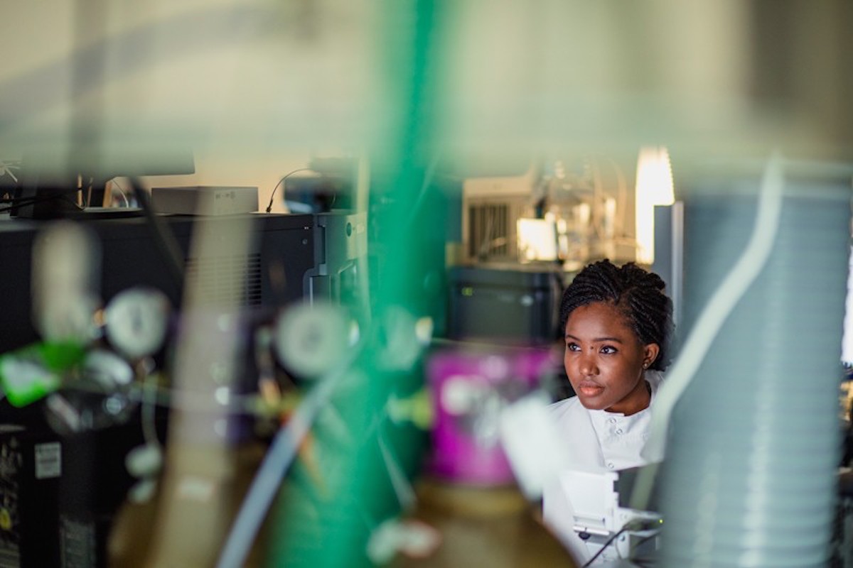 ‘Blood, sweat and tears’: Building a network for Black scientists | Nature