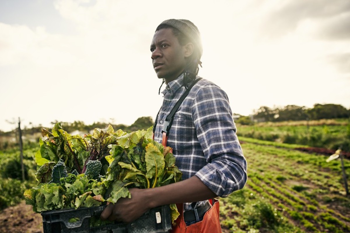 Systemic racism in USDA makes Justice for Black Farmers Act long overdue  | The San Diego Union Tribune