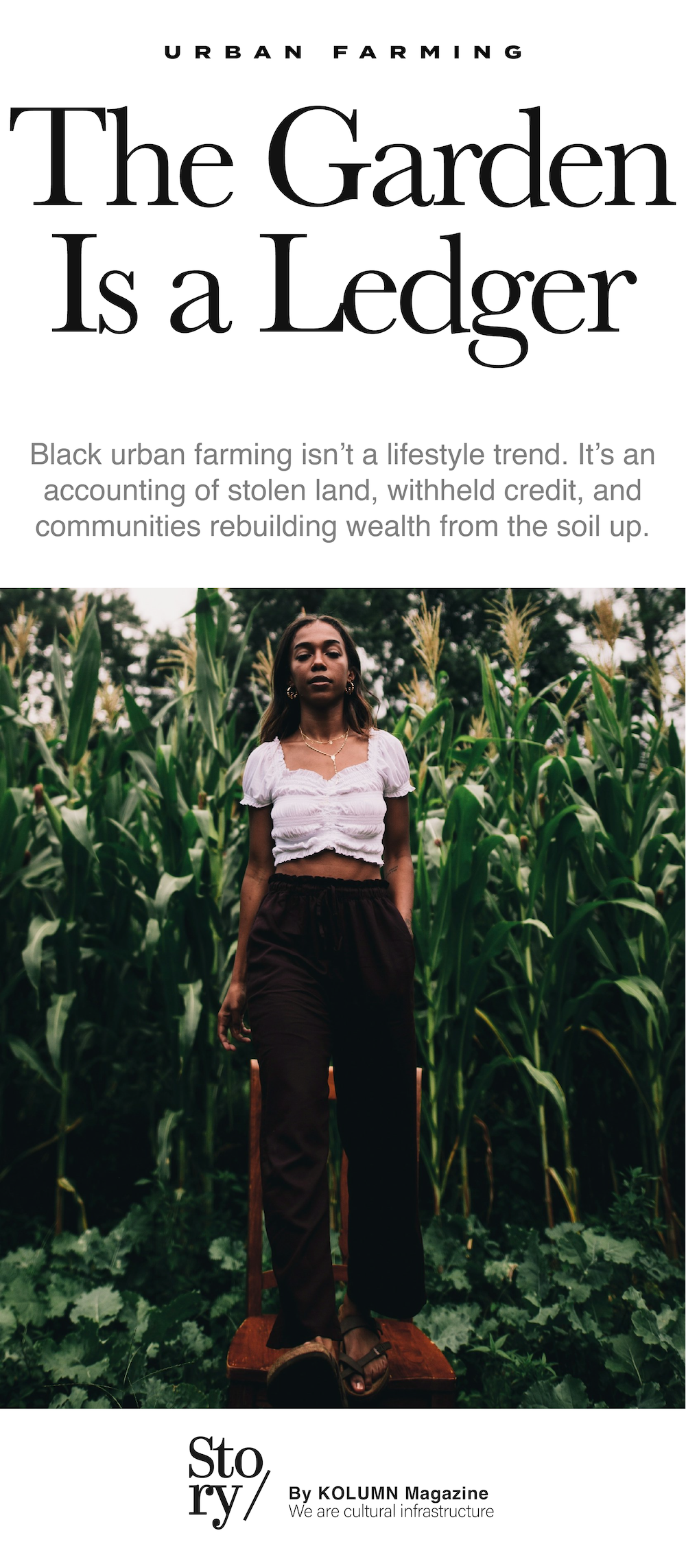 Urban Farming, Urban Farms, Blackowned Farms, Black Owned Farms, KOLUMN, African American News, Black News, African American Journalism, Black Journalism, African American History, Black History, African American Art, Black Art, African American Music, Black Music, African American Wealth, Black Wealth, African American Education, Black Education, Historic Black University or College, HBCU