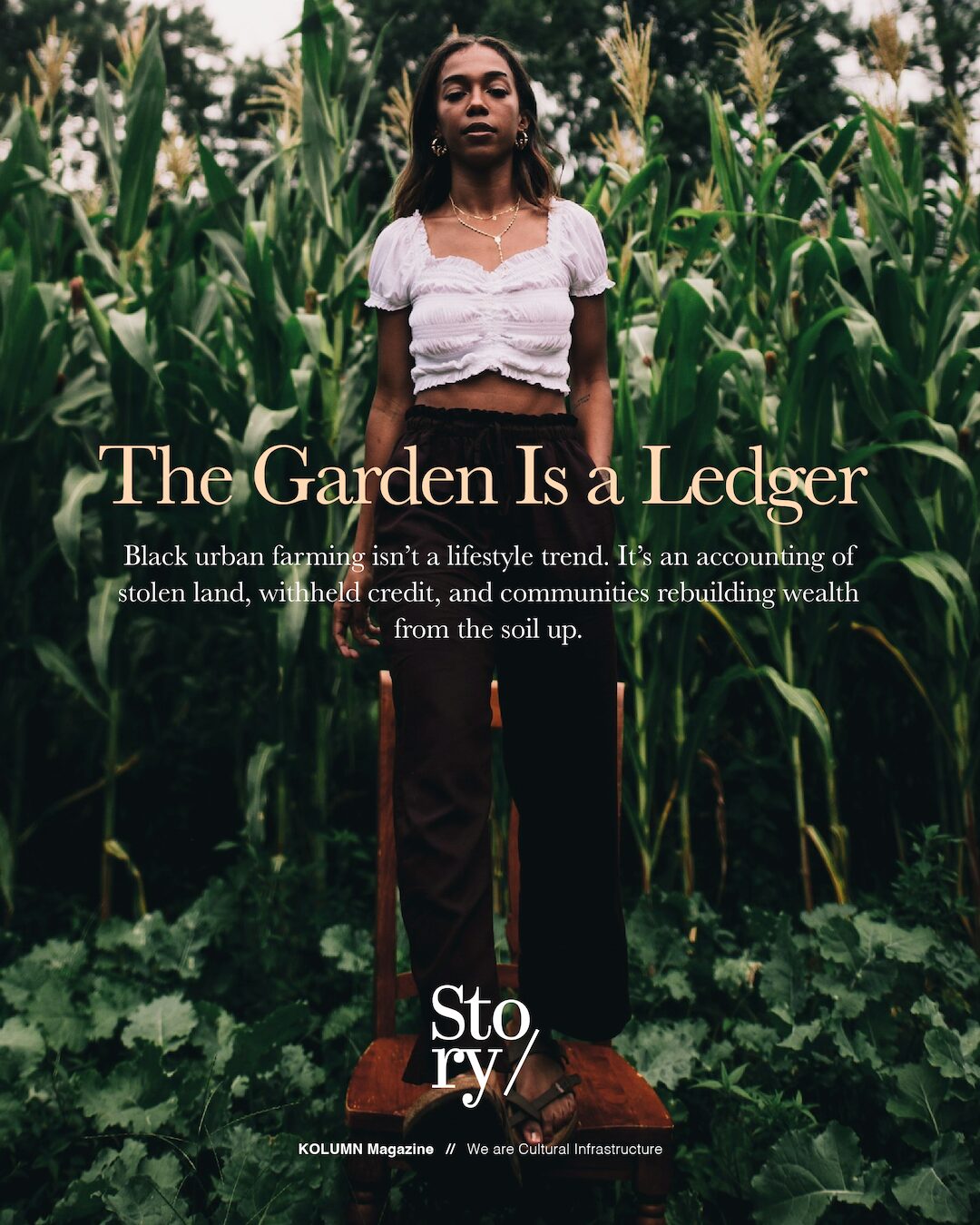 Urban Farming, Urban Farms, Blackowned Farms, Black Owned Farms, KOLUMN, African American News, Black News, African American Journalism, Black Journalism, African American History, Black History, African American Art, Black Art, African American Music, Black Music, African American Wealth, Black Wealth, African American Education, Black Education, Historic Black University or College, HBCU