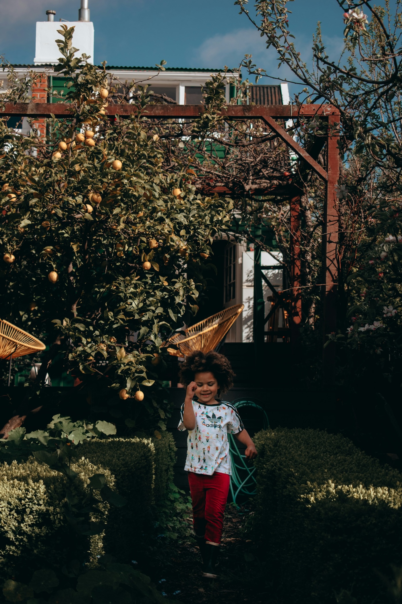 Urban Farming, Urban Farms, Blackowned Farms, Black Owned Farms, KOLUMN, African American News, Black News, African American Journalism, Black Journalism, African American History, Black History, African American Art, Black Art, African American Music, Black Music, African American Wealth, Black Wealth, African American Education, Black Education, Historic Black University or College, HBCU