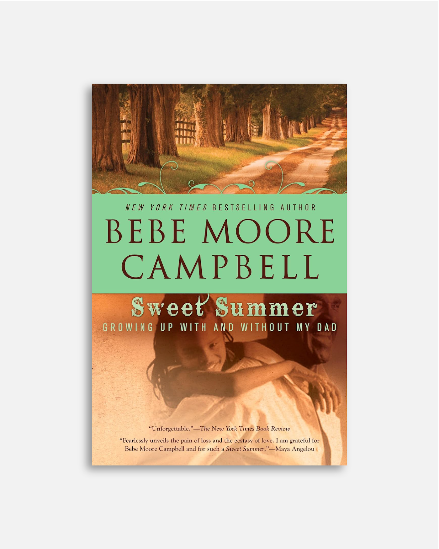Bebe Moore Campbell, KOLUMN, African American News, Black News, African American Journalism, Black Journalism, African American History, Black History, African American Art, Black Art, African American Music, Black Music, African American Wealth, Black Wealth, African American Education, Black Education, Historic Black University or College, HBCU