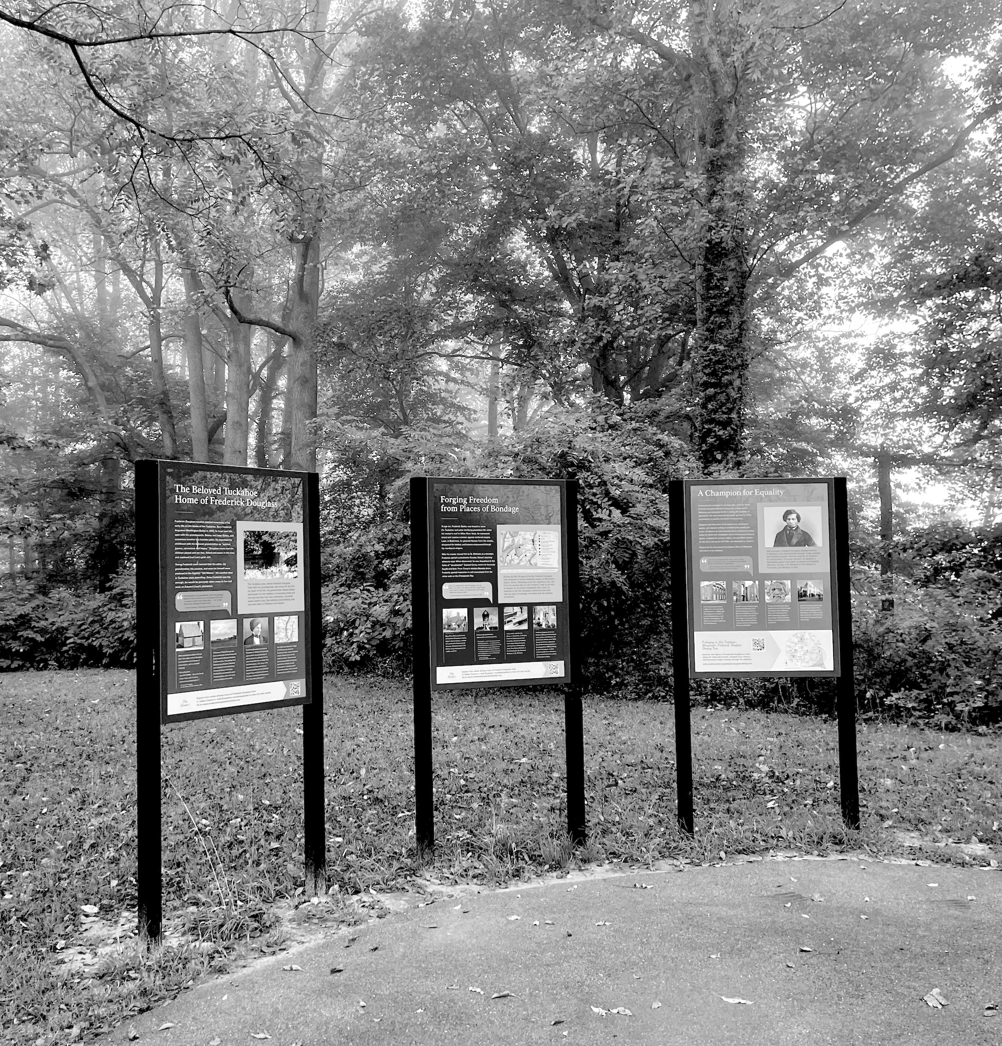 Frederick Douglass, KOLUMN, Cultural Infrastructure, African American News, Black News, African American Journalism, Black Journalism, African American History, Black History, African American Art, Black Art, African American Music, Black Music, African American Wealth, Black Wealth, African American Education, Black Education, Historic Black University or College, HBCU